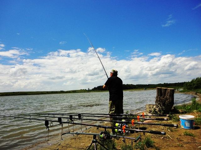 diverse - dsc09641.JPG